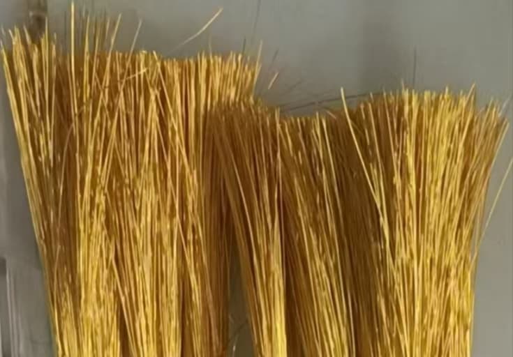 Pure Silver with Insulating Layer 0.2mm