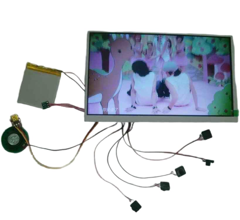 4.3inch LCD Screen Display Video Module
