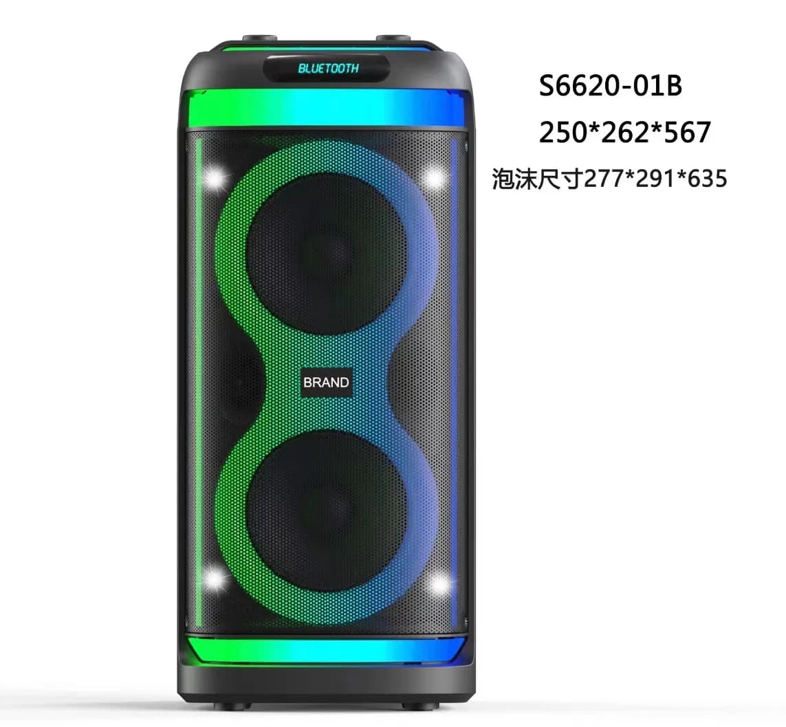 Dual 6" Karaoke Speaker 2605