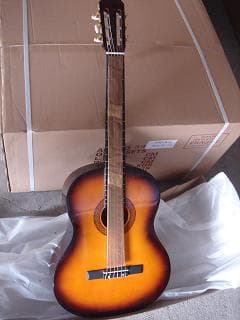 Sunburst (CG851)