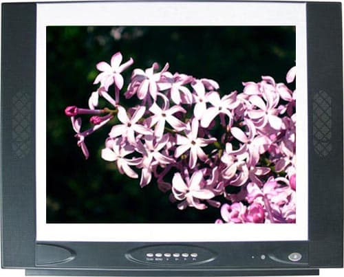 29 Inch Color CRT TV (GFL04)