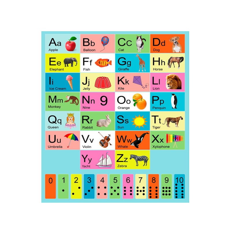 Educational Poster Wholesale Manufacturer
