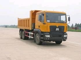 Truck (LT3258/LT3258D)