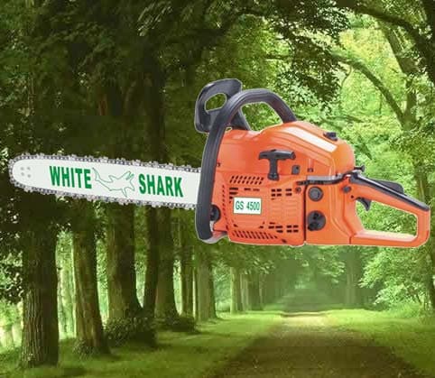 Gasoline Chain Saw