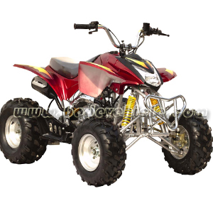 110CC ATV Quad Bike (MC-322)