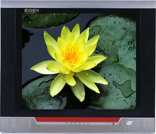21 Inch Color CRT TV (GFL03)