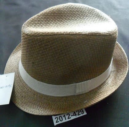 fedora hat