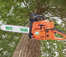 Chain Saw (5200)