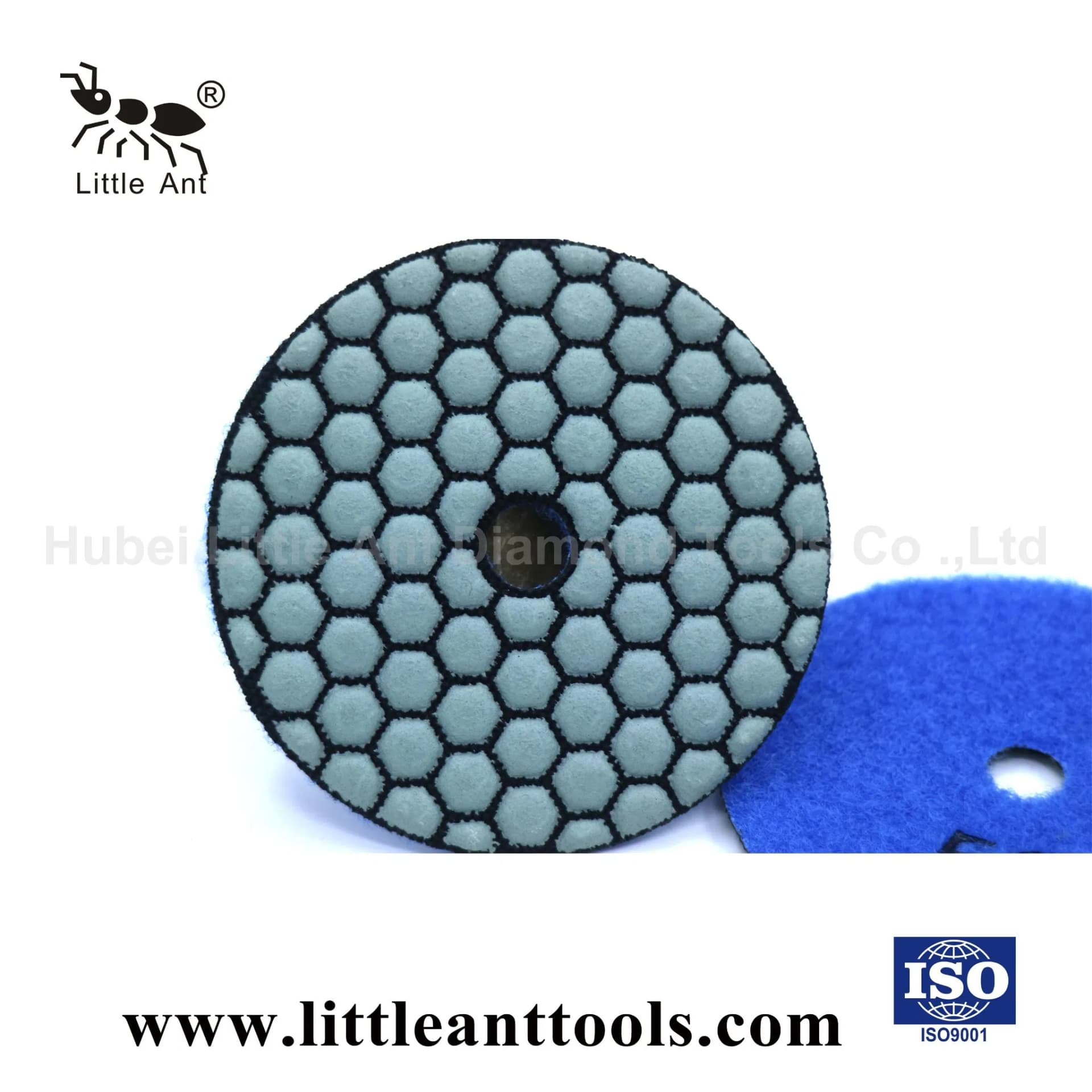 Diamond Tool of Dry Polishing Pads