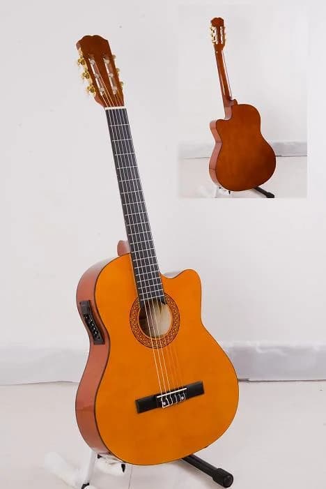 Cg209CE Electric Classic Guitar