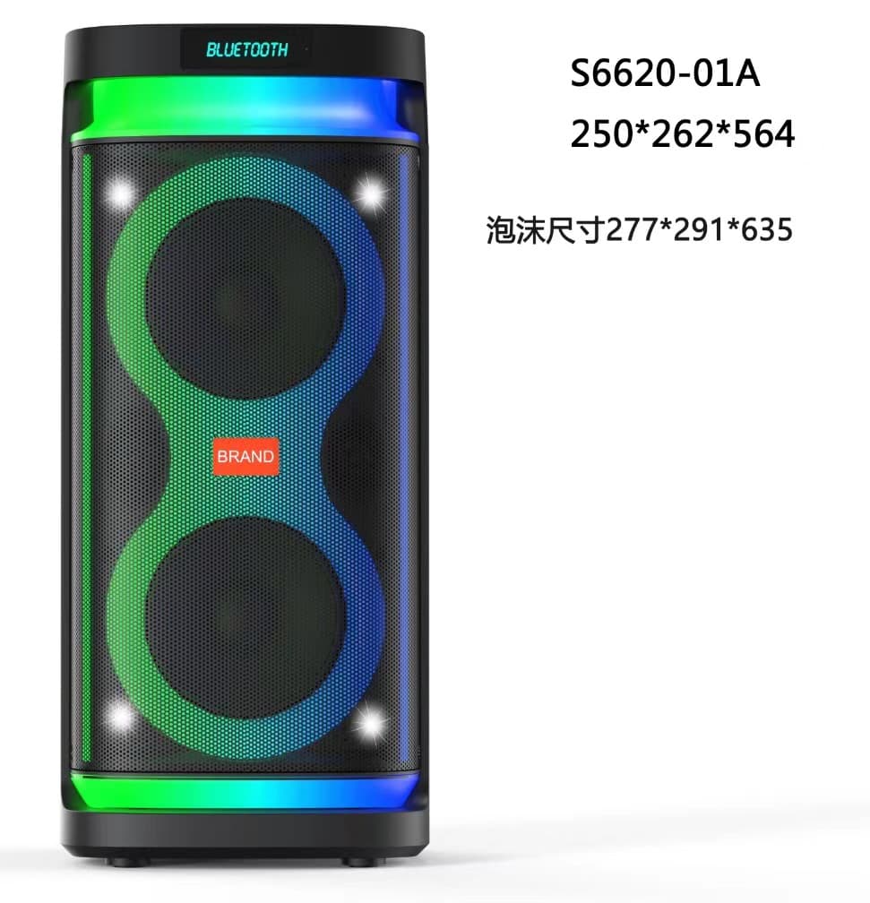 Dual 8" Karaoke Speaker 2806