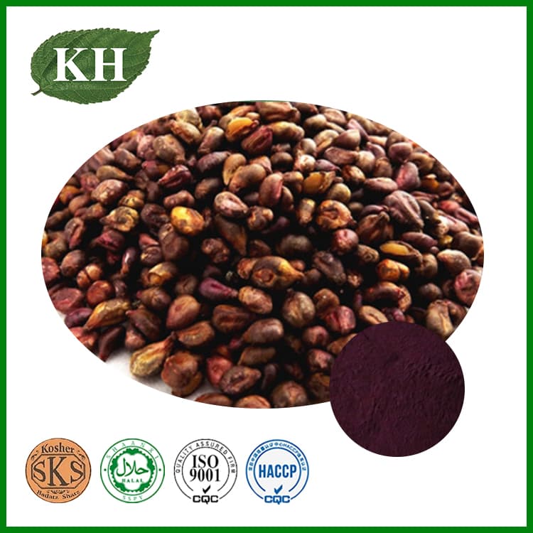Antioxidant Grape Seed Extract