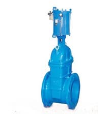 ANSI/ASTM/ASME/Wcb Flanged Gate Valve
