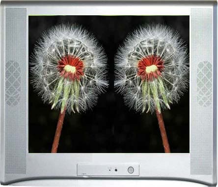 17 Inch CRT Color TV (GFL02)