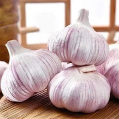 Jining New SILK ROAD Food Co., Ltd.