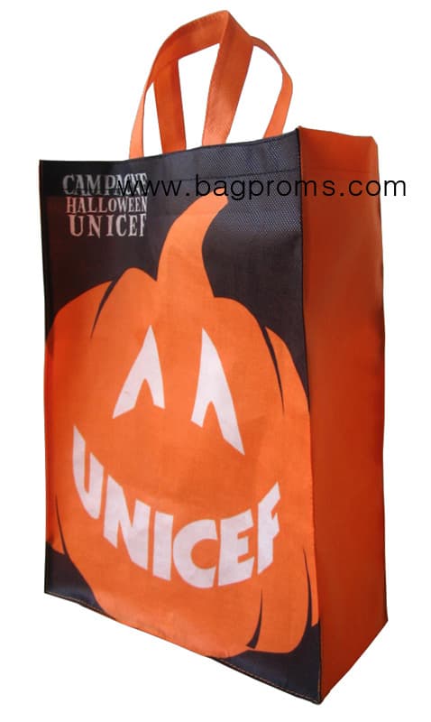 PP Non-Woven Shopping Bag (WY-1029)