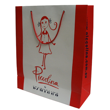 Paper Shopping Bag (LC-PABA-085)