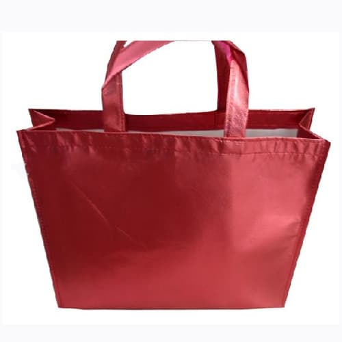 Aluminum Foil Non Woven Bag (WY81234)