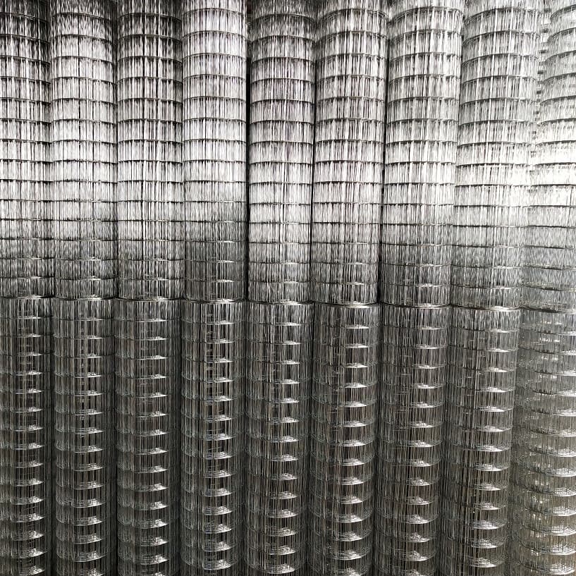 Hot Dipped Galvanized Welded Wire Mesh