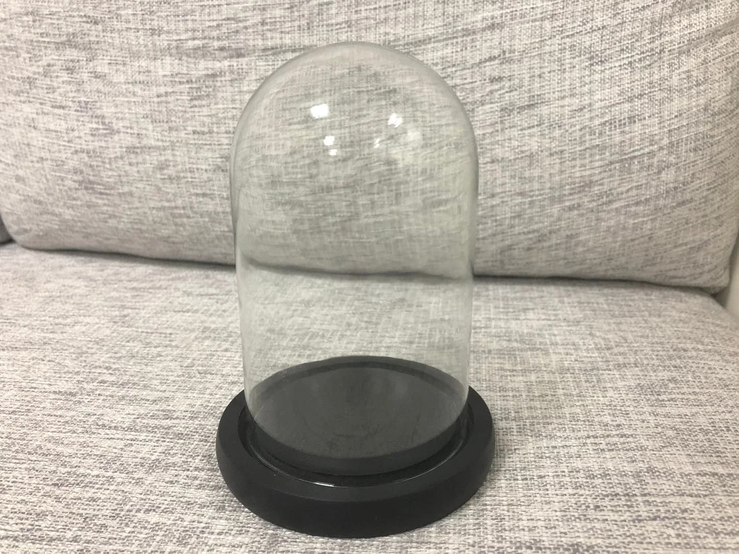Glass Dome Bell Jar with Wood Base