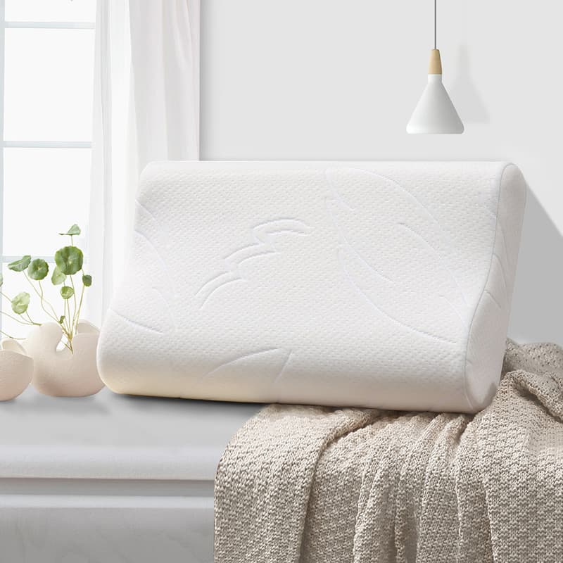 Deep Sleep Pillow Memory Foam Pillow