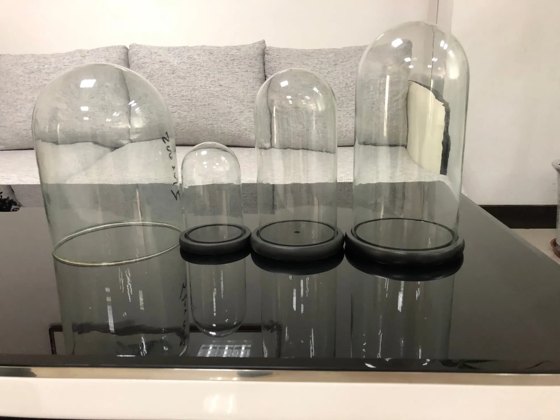 Glass Dome Bell Jar with Wooden Base
