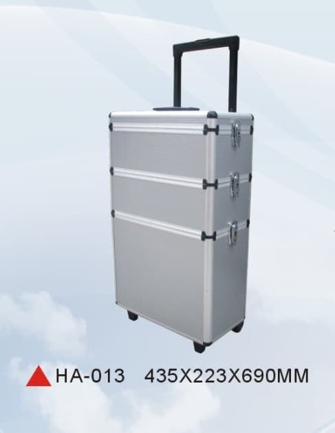 Trolley Cases (HA-013)