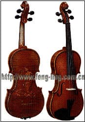 Violin (MV007-2)