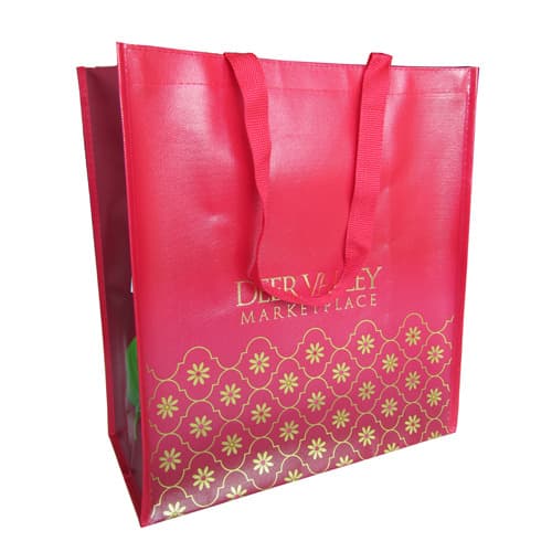 PP Non Woven Shopping Bag (LC-NOLB-066)