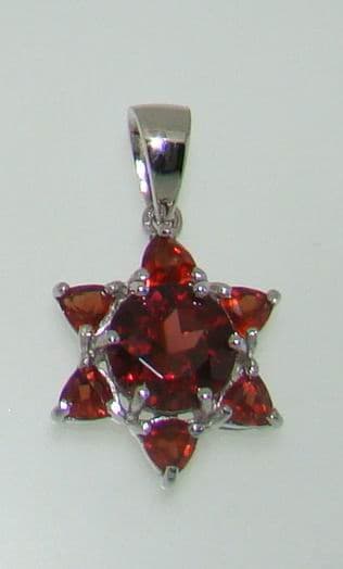 Garnet Pendent in Ready Stock (P0042Z)
