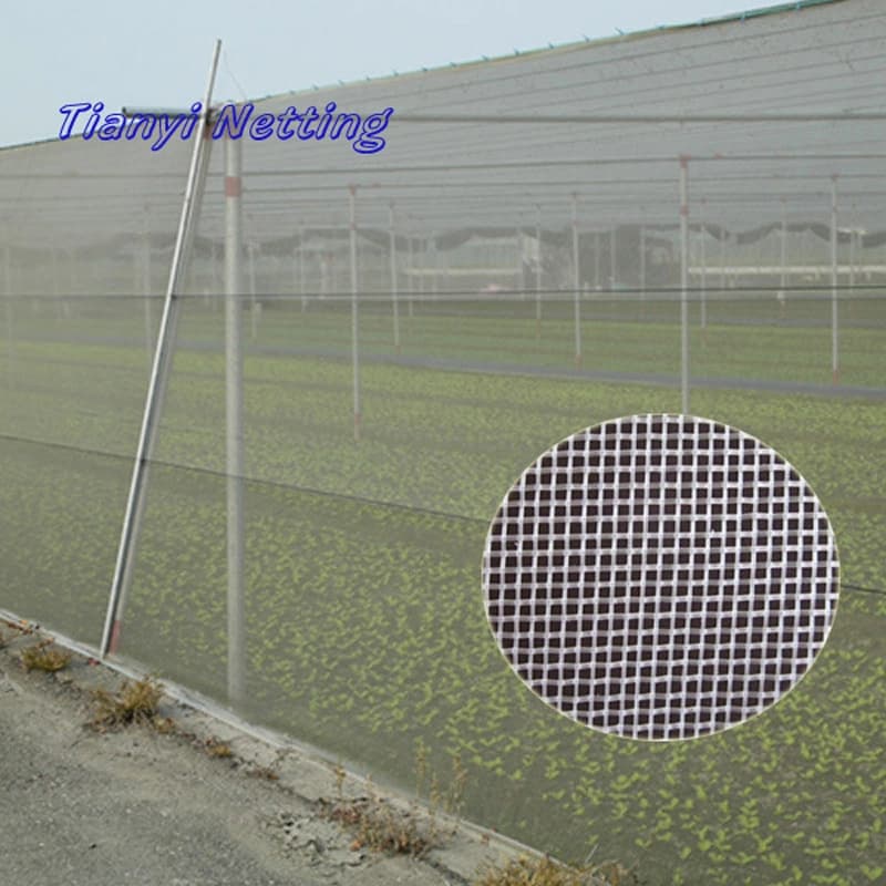 UV Protection Anti Insect Net