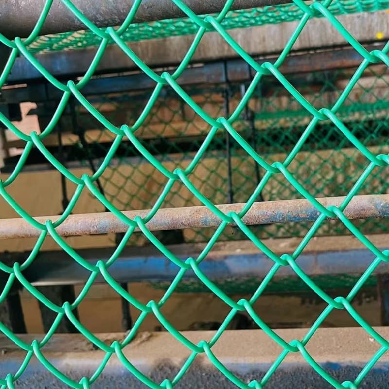 Green Color PVC Coated Chain Link Fence