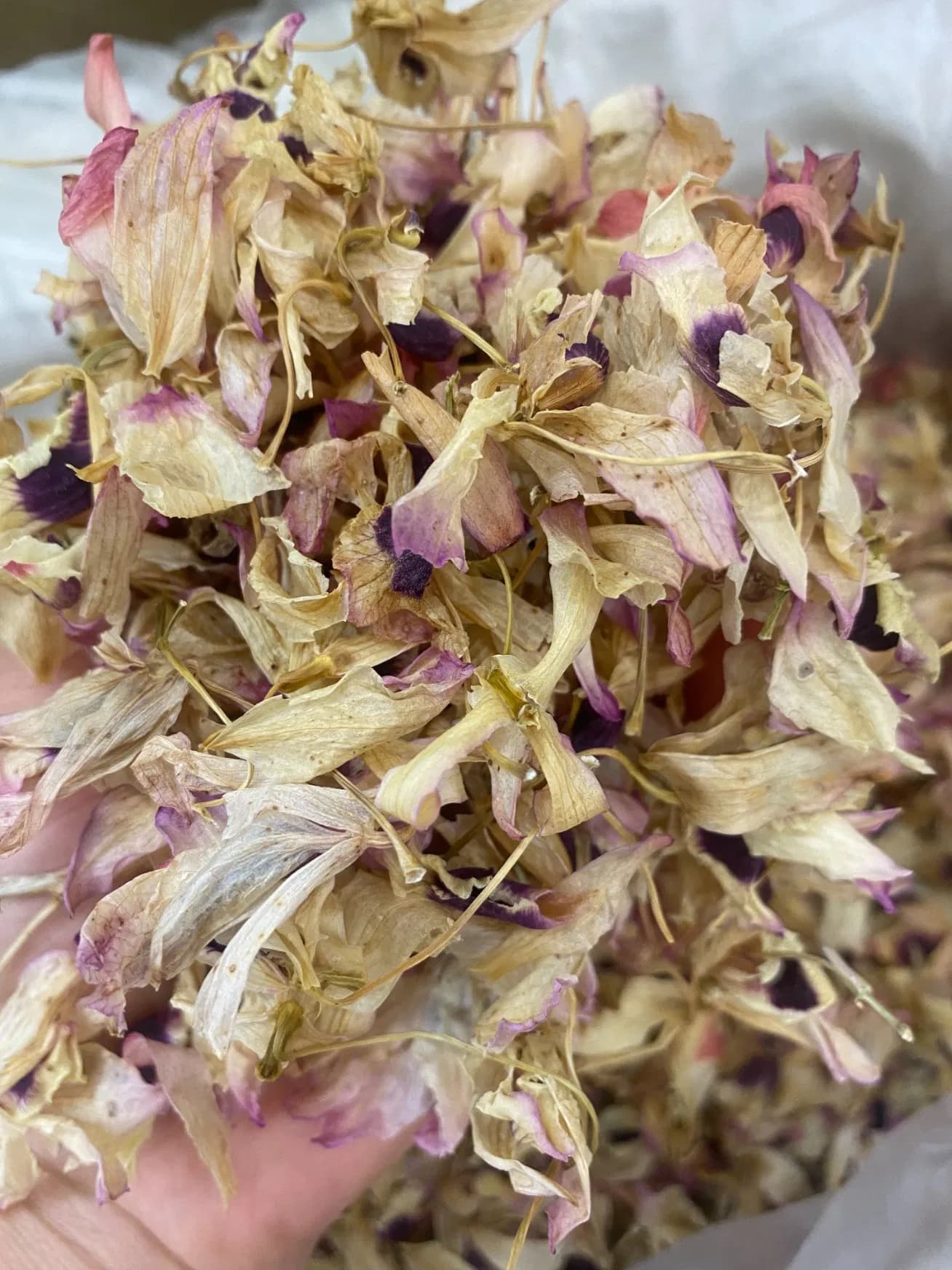 China Supplies Scented Tea Raw Material Dendrobium Flower