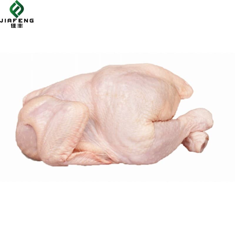 High Quality Best Selling 100% Organic Fresh & Frozen Best Grade Frozen Chicken at Wholesale Price