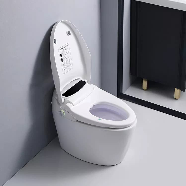 Wall-Hung Smart Toilet Bowl with Night Light Soft Close Seat