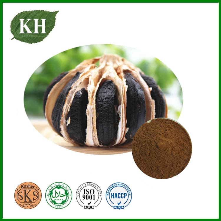 100% Natural Herbs Ratio 4: 1 10: 1 Black Garlic Extract Powder
