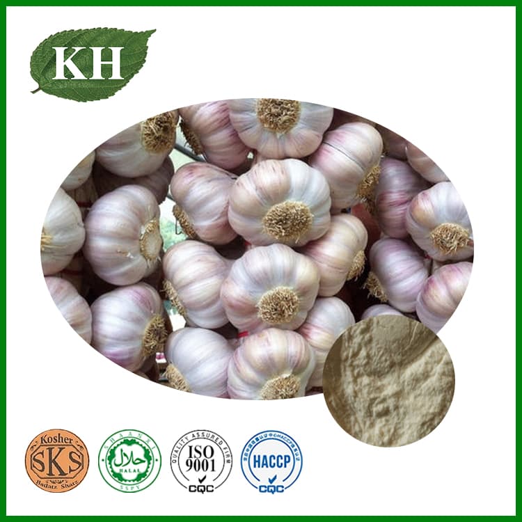 Natural Deodorized Garlic Extract Allicin 1%-5% by HPLC