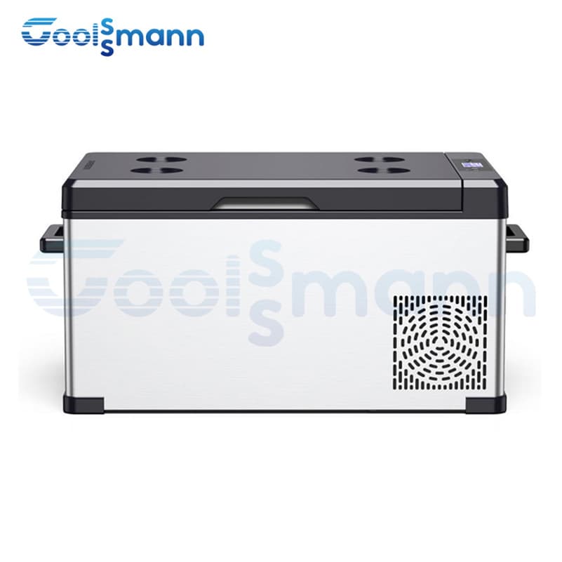 Portable Car Refrigerator Compressor Type Mini Car Fridge for Car Home Camping Travel