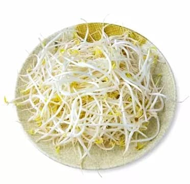 Green Mung Bean Sprout in Can with Competitive Price