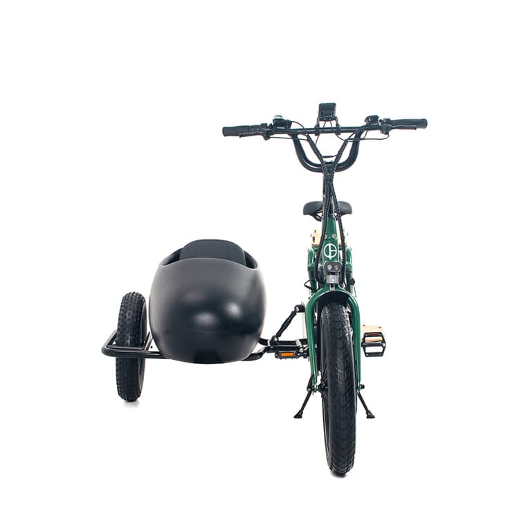 Fat Vintage Side Car Fat Tyre Pedelec E Bike Electric Bicycle Sidecar Factory Supply Trike 3 Wheel Family Delivery E Cargo Bike Part Accessories Sidecar