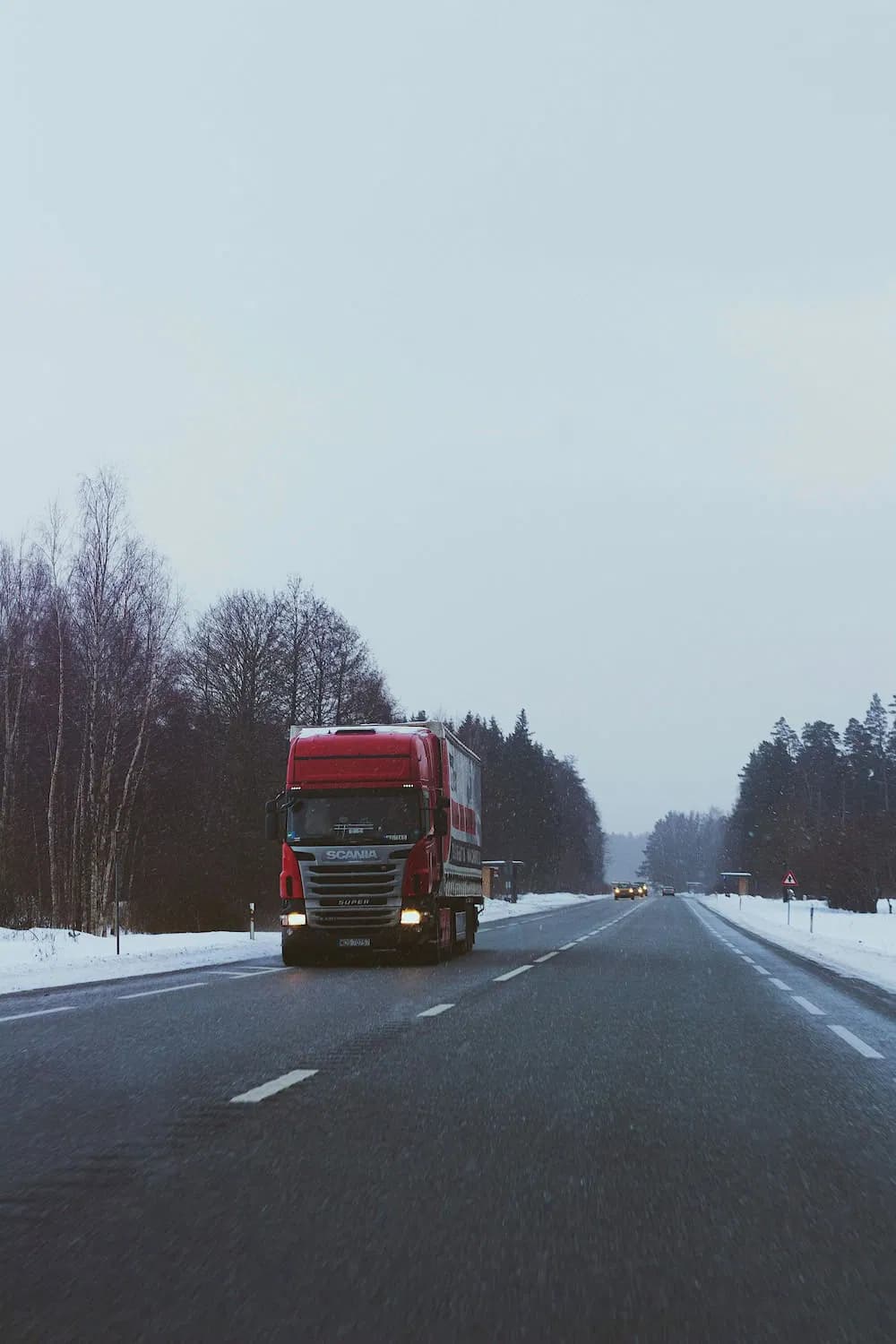 China to Germany Sensitive Cargo Truck Shipping DDP Cosmetics Liquid Accepted