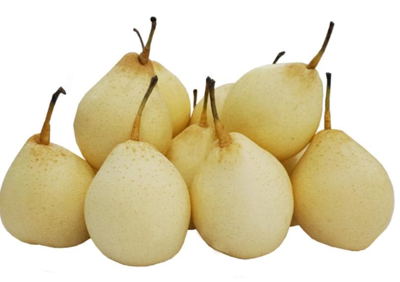 New Crop Good Quality Chinese Ya Pear, Sweet Delicious Fresh Fruits Fresh Ya Pear