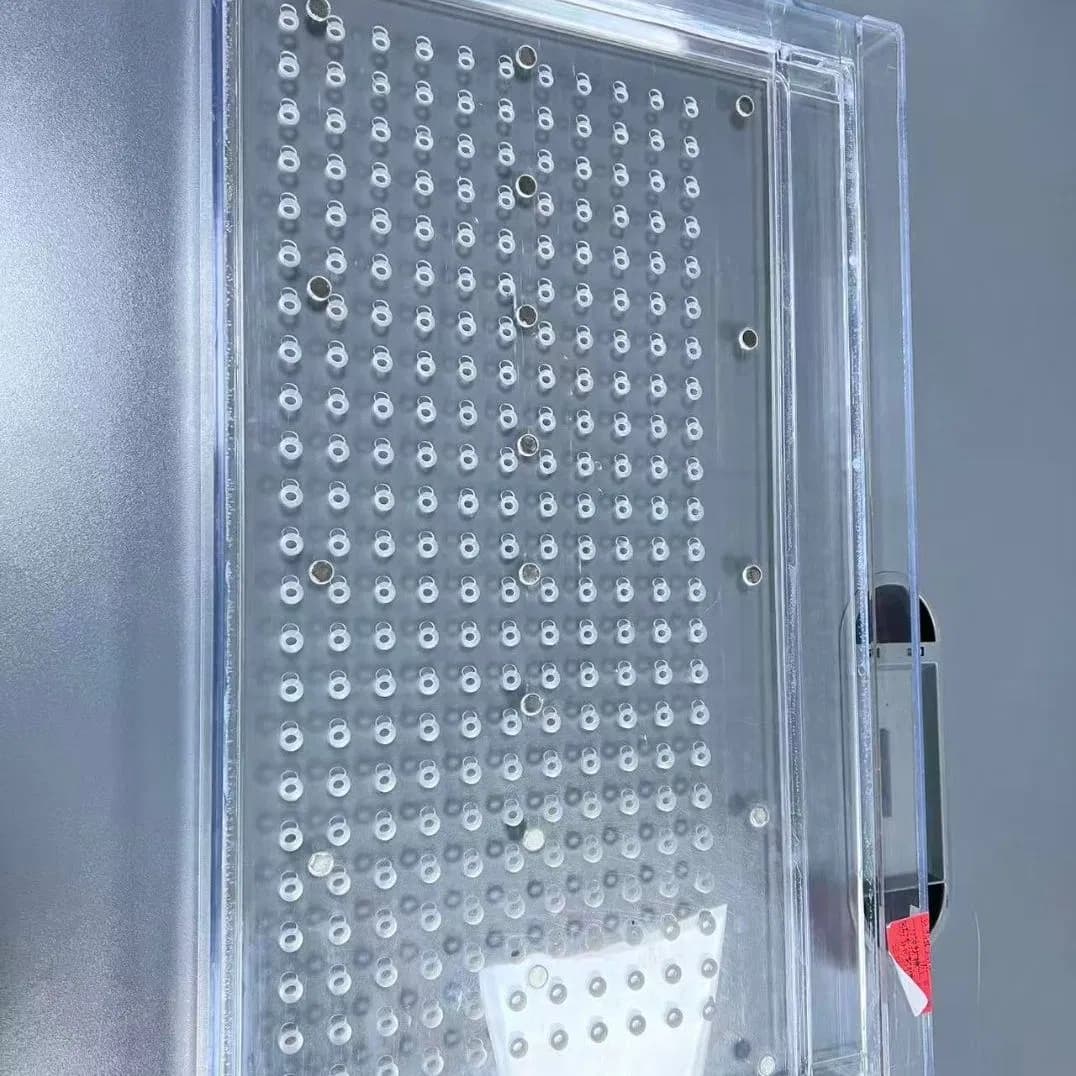 Reinfa Precision Seeder for Hydroponic Farm Seedling Cultivation
