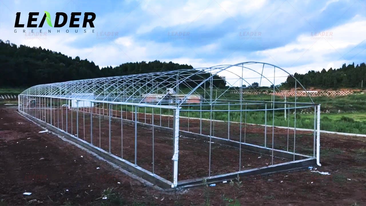 Greenhouse in-Solar with High Quality Film Single-Span Greenhouses