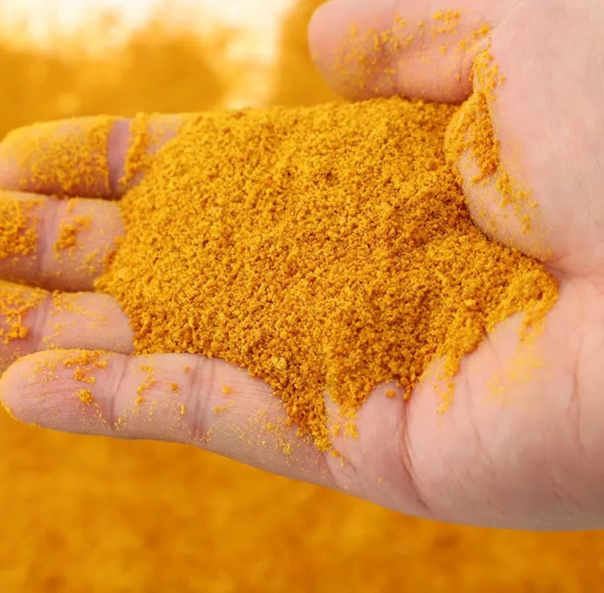 Corn Gluten Meal Protein Powder Animal Feed Grade 60% Min China Manufacturer