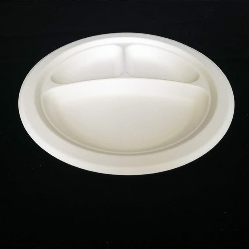 Eco-Friendly Biodegradable Compostable Sugarcane Bagasse 8 Plate Tableware Tray