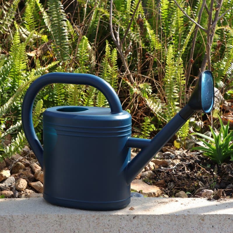Plant Pot Accessories Wholesale Retro Plastic Watering Can Sprayer 5L with Handles