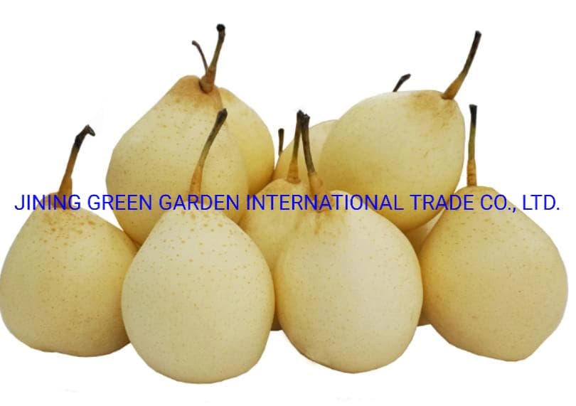 Top Quality with Best Price Chinese Fresh Sweet Ya Pear Fruit