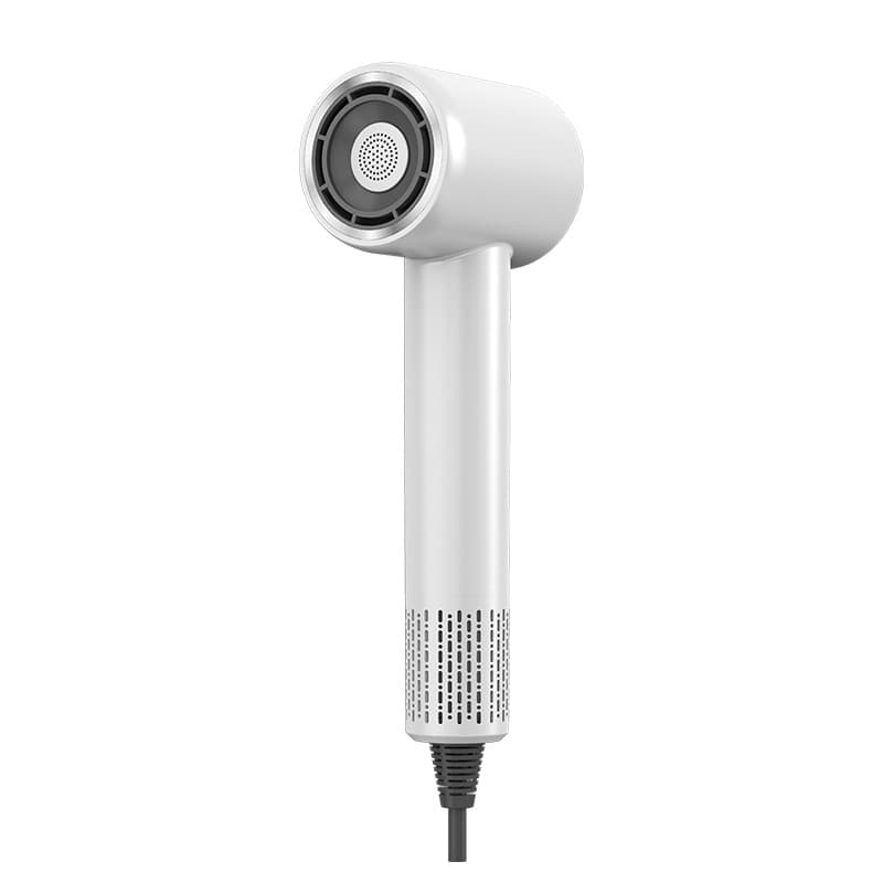 Leafless Ionic High Speed Salon Hair Dryer Blow Dryer