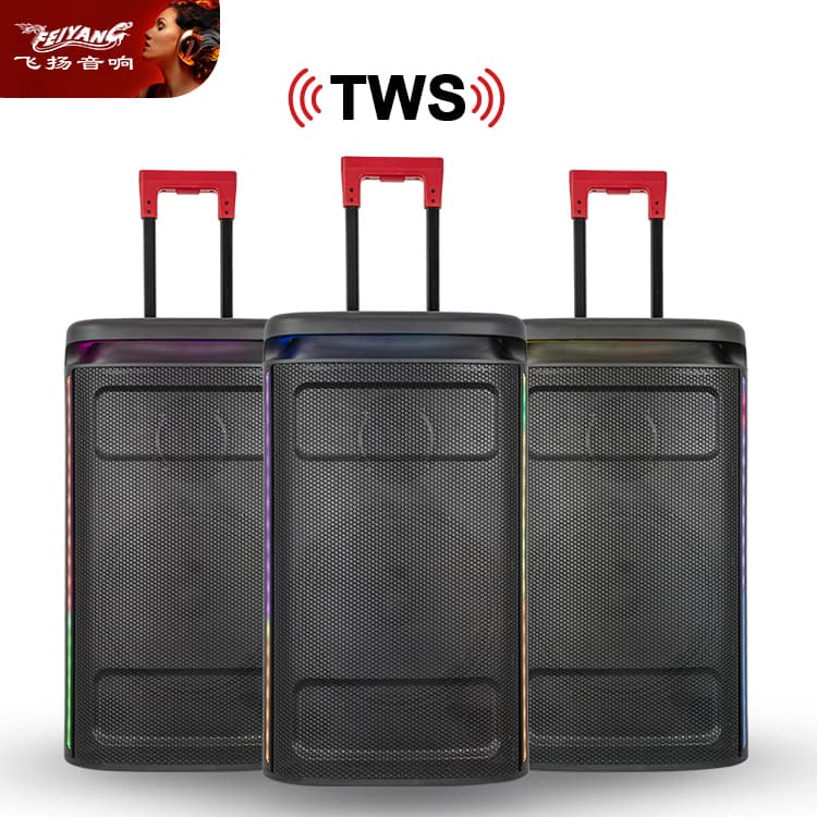 New Wooden Super Bass Without Light Trolley Wireless Active Speaker